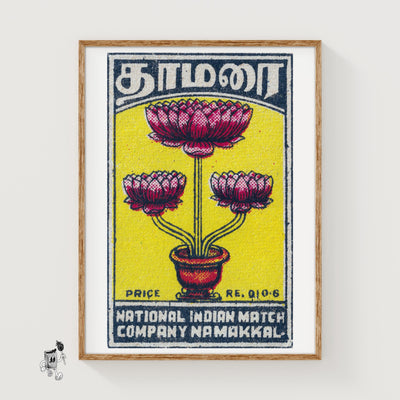 Lotus Flowers