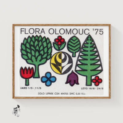 Czech Flora