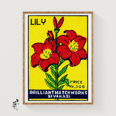 Red Lily