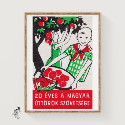 Picking Apples