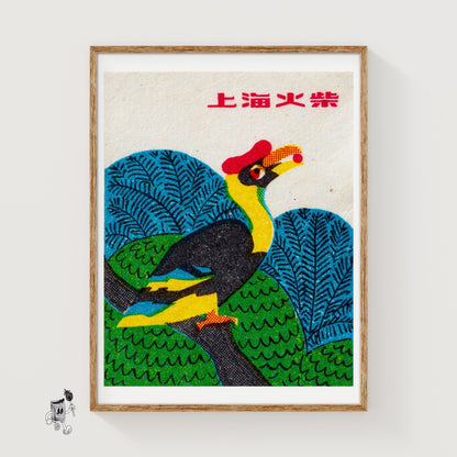 Toucan - vintage matchbox label print