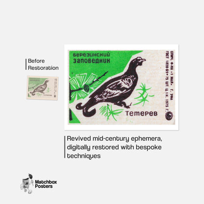 Black Grouse - vintage matchbox label print - framed wall art preview