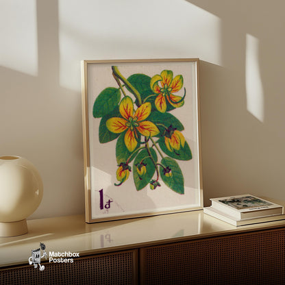 Cactus Flower - vintage matchbox label print - size comparison