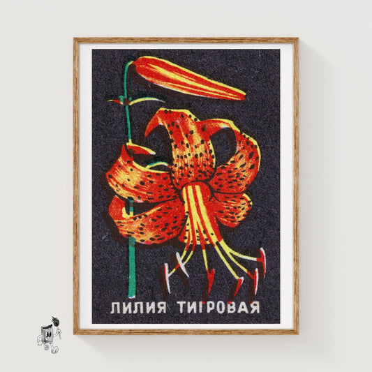 Tiger Lily - vintage matchbox label print