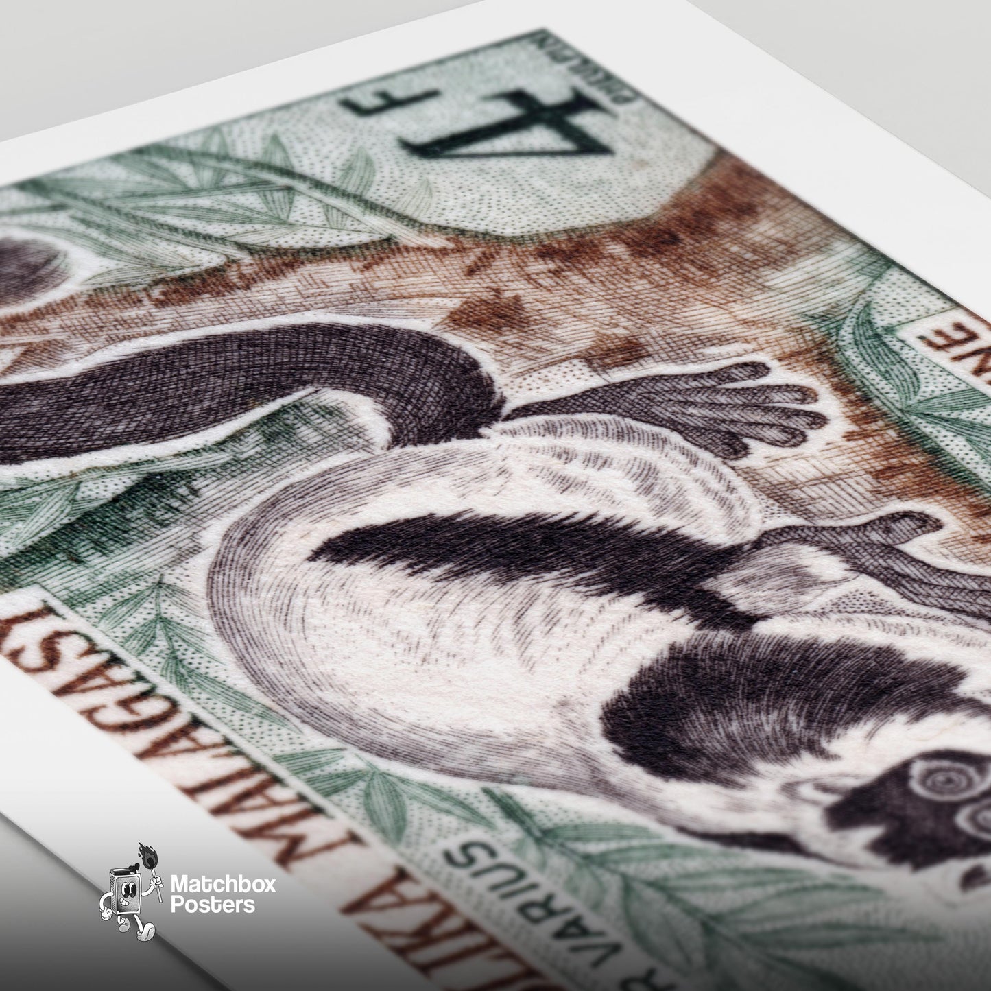 Lemur - vintage matchbox label print - close-up detail
