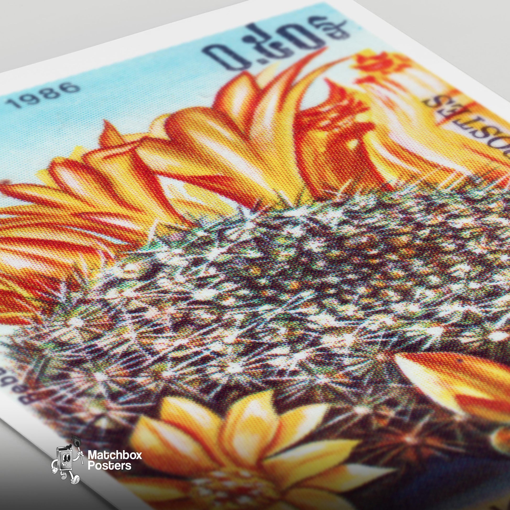 Orange Cactus Flowers - vintage matchbox label print - close-up detail