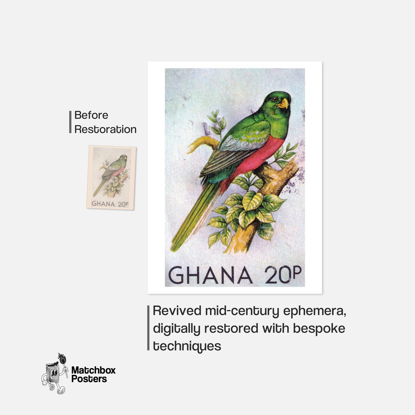 Green Bird - vintage matchbox label print - framed wall art preview