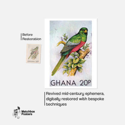 Green Bird - vintage matchbox label print - framed wall art preview