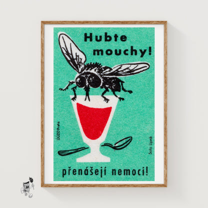 Illustration Of A Fly - vintage matchbox label print