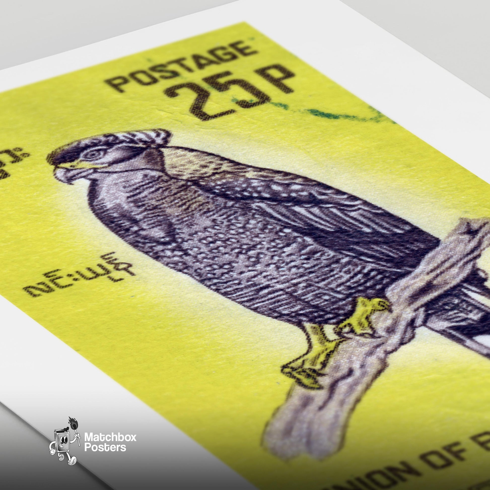 Black Hawk - vintage matchbox label print - close-up detail