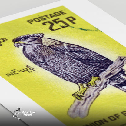 Black Hawk - vintage matchbox label print - close-up detail