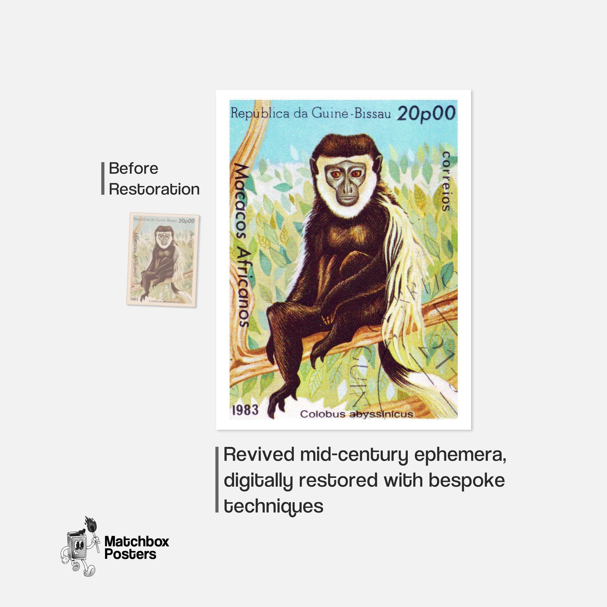 Colobus Monkey - vintage matchbox label print - framed wall art preview