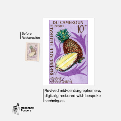 Pineapple - vintage matchbox label print - framed wall art preview
