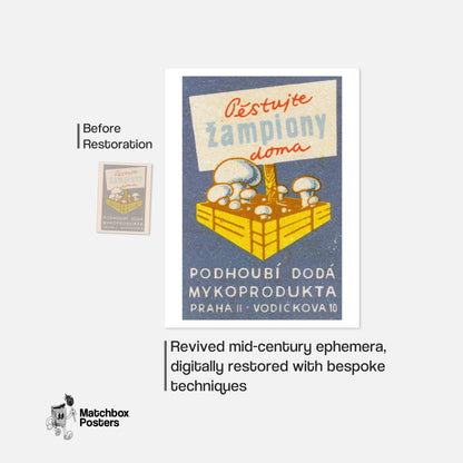 Mushrooms Growing - vintage matchbox label print - framed wall art preview