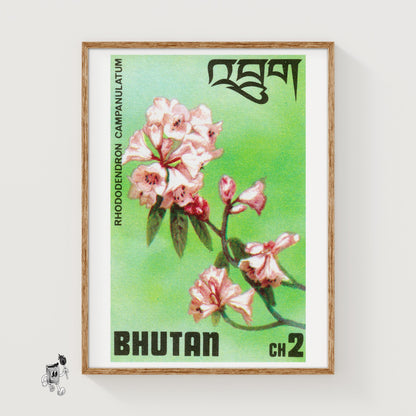 Pink Rhododendron - vintage matchbox label print