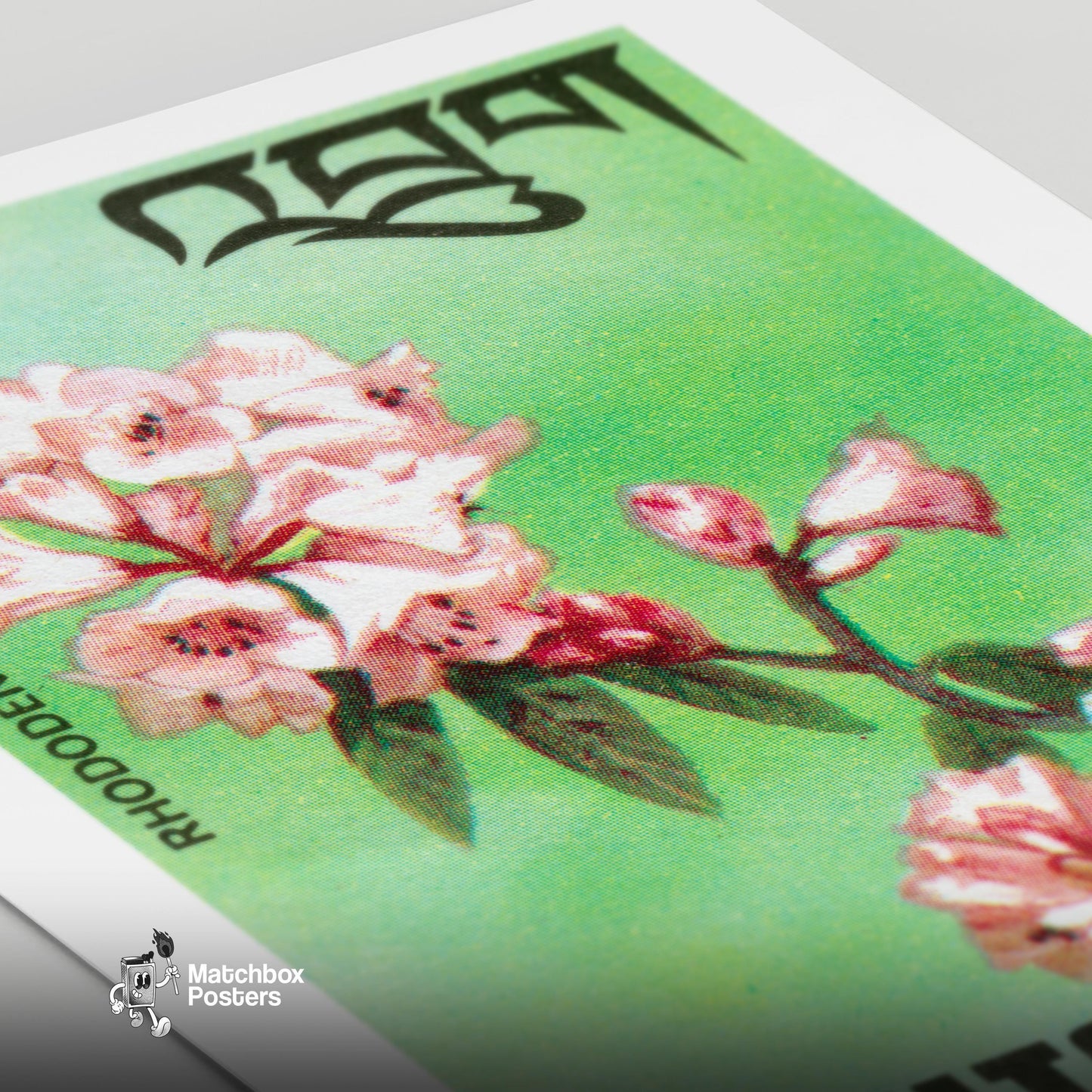 Pink Rhododendron - vintage matchbox label print - close-up detail