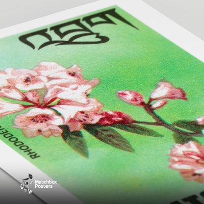 Pink Rhododendron - vintage matchbox label print - close-up detail