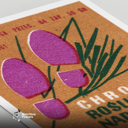 Protect Coastal Environment - vintage matchbox label print - close-up detail