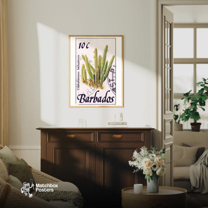 Cephalocereus Cactus - vintage matchbox label print - living room mockup