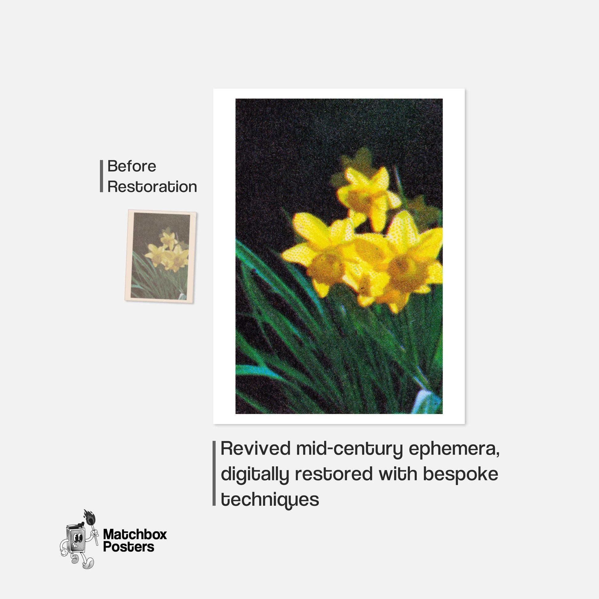 Yellow Daffodil - vintage matchbox label print - framed wall art preview