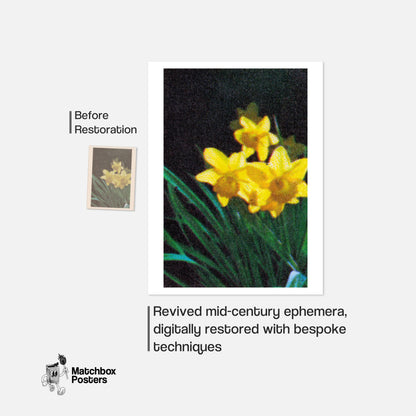 Yellow Daffodil - vintage matchbox label print - framed wall art preview