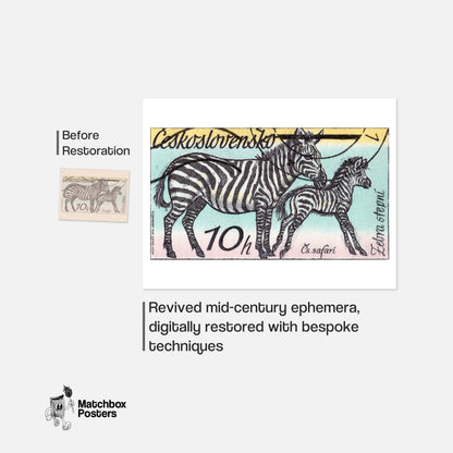 Zebra and Foal - vintage matchbox label print - framed wall art preview