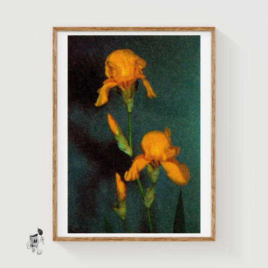Yellow Flowers - vintage matchbox label print