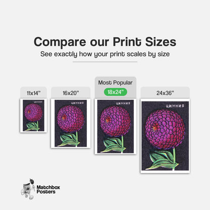 Purple Zinnia Flower - vintage matchbox label print - gallery wall preview
