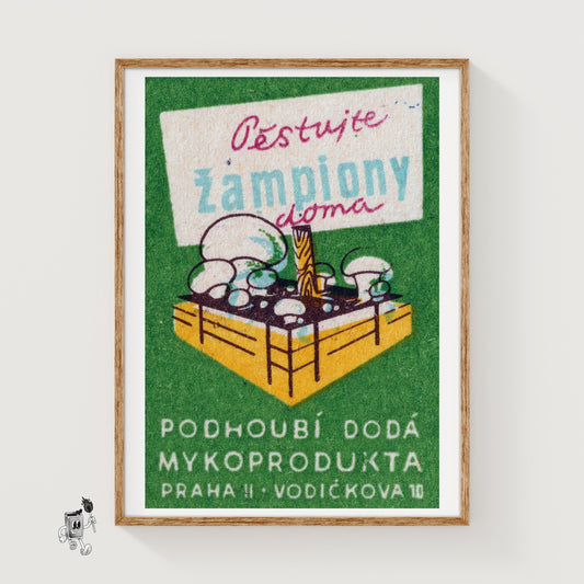 White Mushrooms - vintage matchbox label print