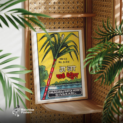 Sugarcane - vintage matchbox label print - office wall