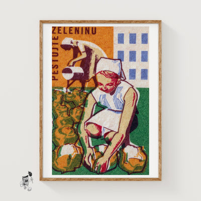 Woman Harvesting Vegetables