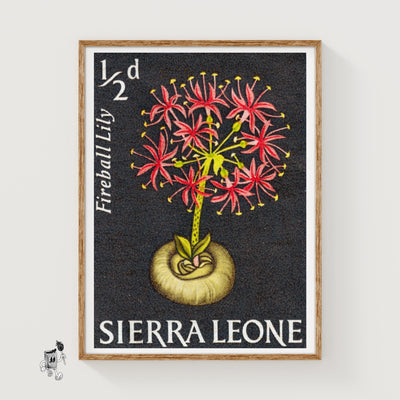 Red Flowers