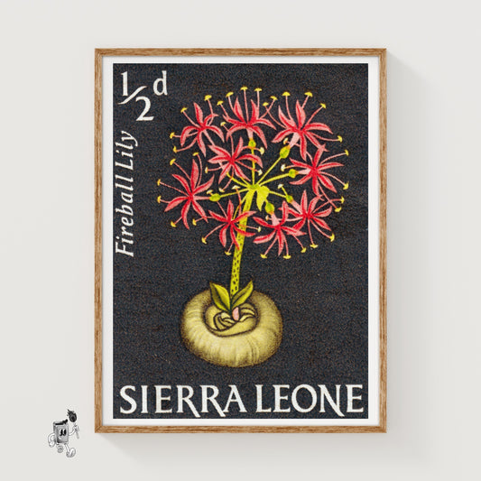 Red Flowers - vintage matchbox label print