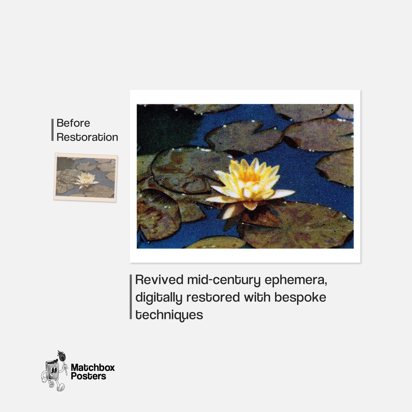 Yellow Water Lily - vintage matchbox label print - framed wall art preview