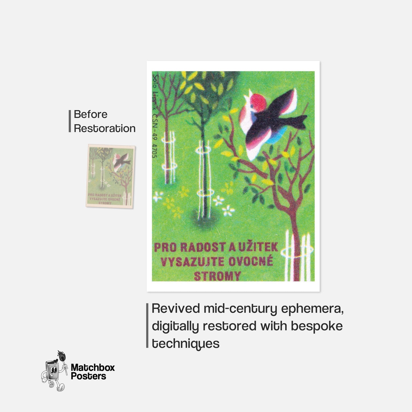 Plant Fruit Trees and Benefit - vintage matchbox label print - framed wall art preview