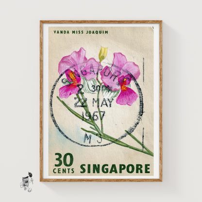Vanda Miss Joaquim Orchid - vintage matchbox label print