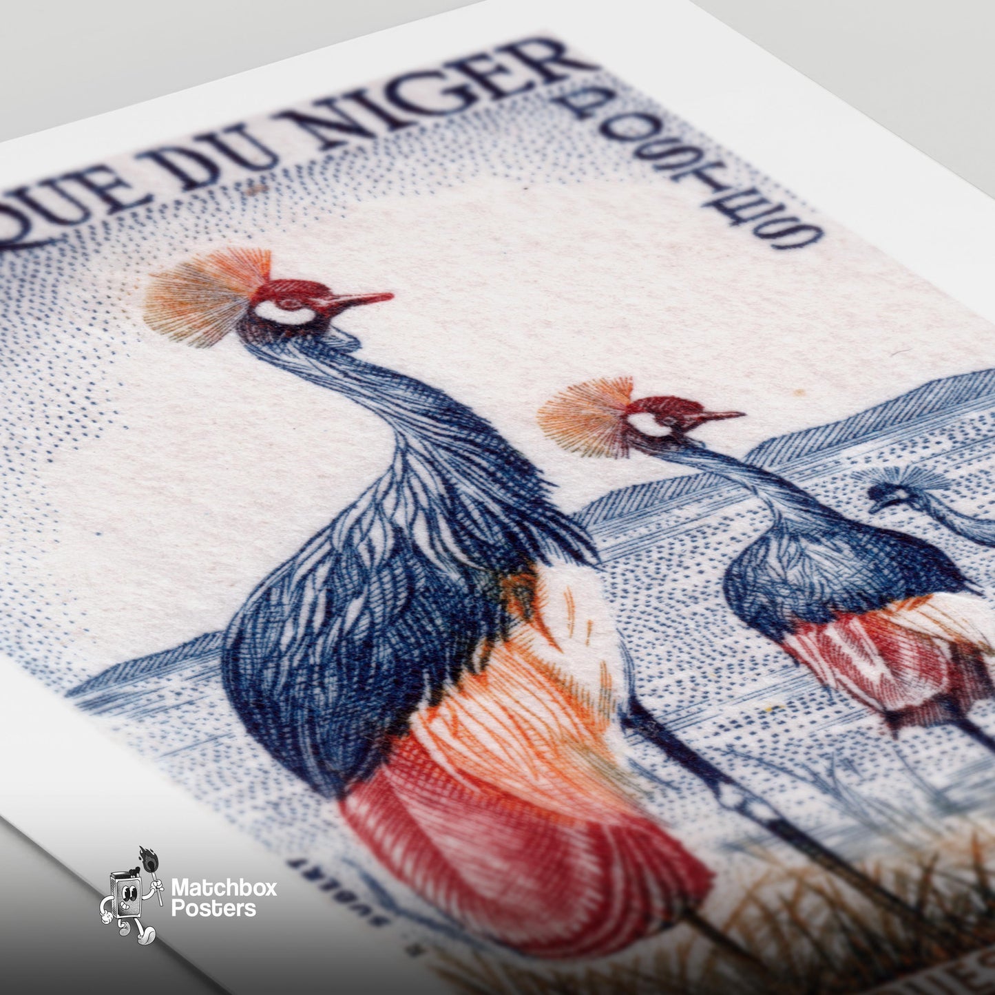 Black Crowned Crane - vintage matchbox label print - close-up detail