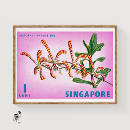 Arachnis Maggie Oei Orchid - vintage matchbox label print