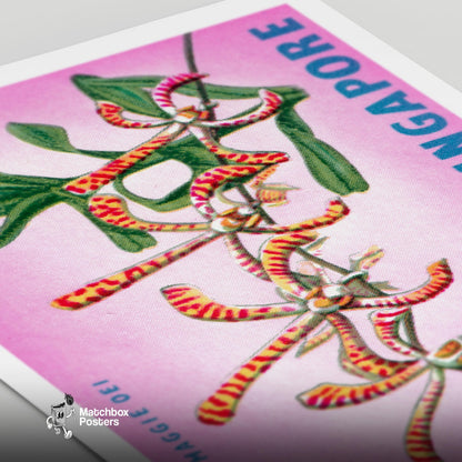 Arachnis Maggie Oei Orchid - vintage matchbox label print - close-up detail