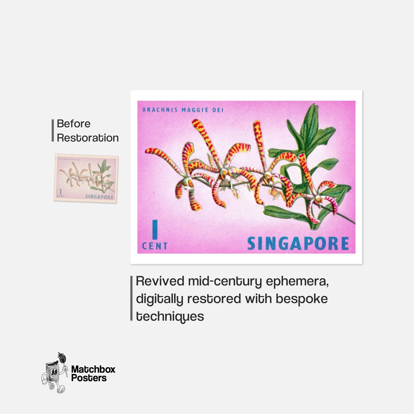 Arachnis Maggie Oei Orchid - vintage matchbox label print - framed wall art preview