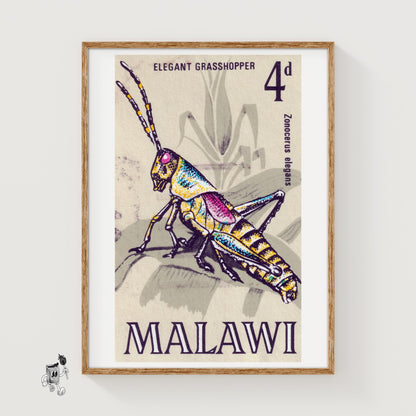 Grasshopper - vintage matchbox label print