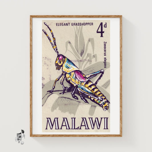 Grasshopper - vintage matchbox label print