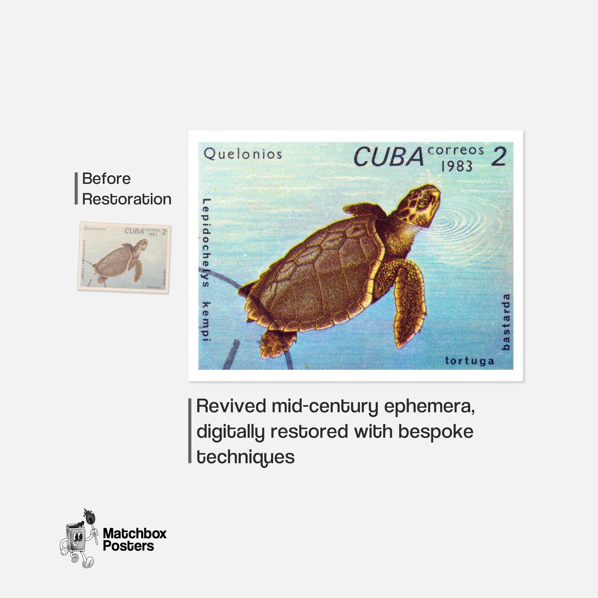 Sea Turtle - vintage matchbox label print - framed wall art preview