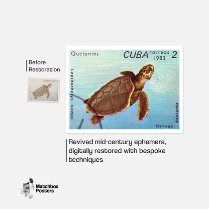 Sea Turtle - vintage matchbox label print - framed wall art preview