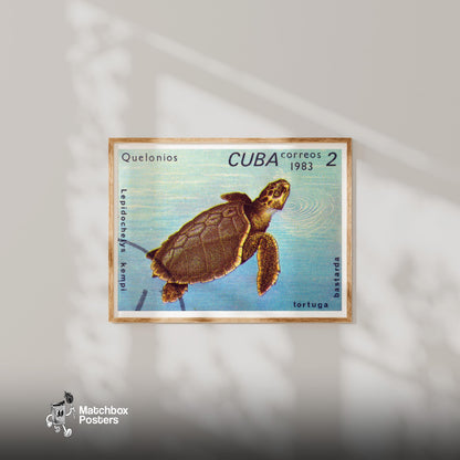 Sea Turtle - vintage matchbox label print - bedroom mockup