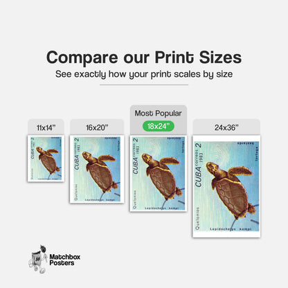 Sea Turtle - vintage matchbox label print - gallery wall preview