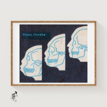 Human Evolution - vintage matchbox label print
