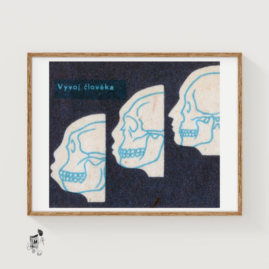 Human Evolution - vintage matchbox label print