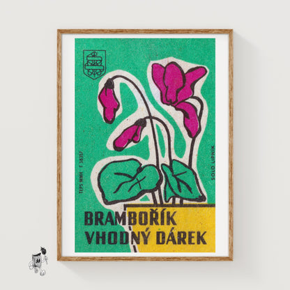 Cyclamen Flowers - vintage matchbox label print