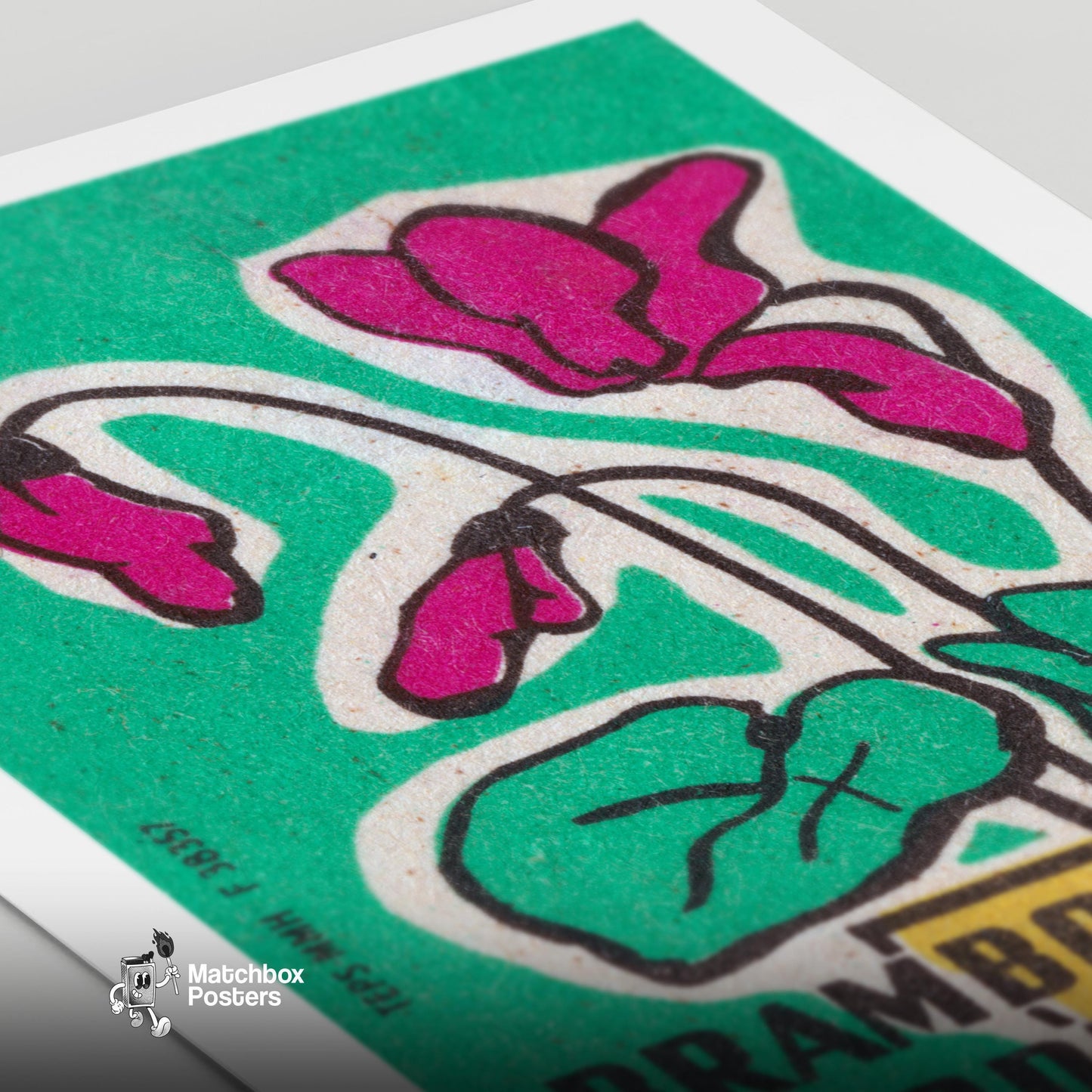 Cyclamen Flowers - vintage matchbox label print - close-up detail